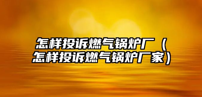 怎樣投訴燃?xì)忮仩t廠（怎樣投訴燃?xì)忮仩t廠家）